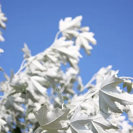 Maison d'hôtes Esperort 4*