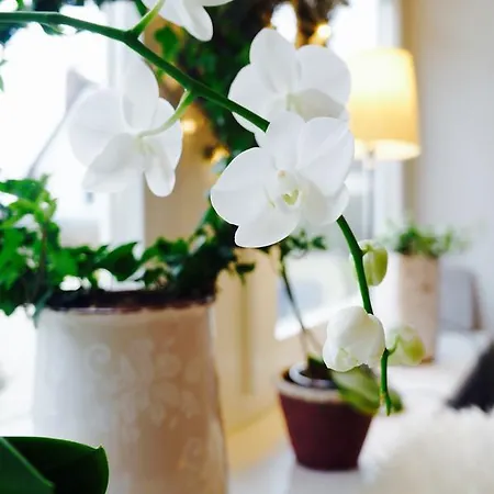 Esperort Maison d'hôtes Ahrenshoop